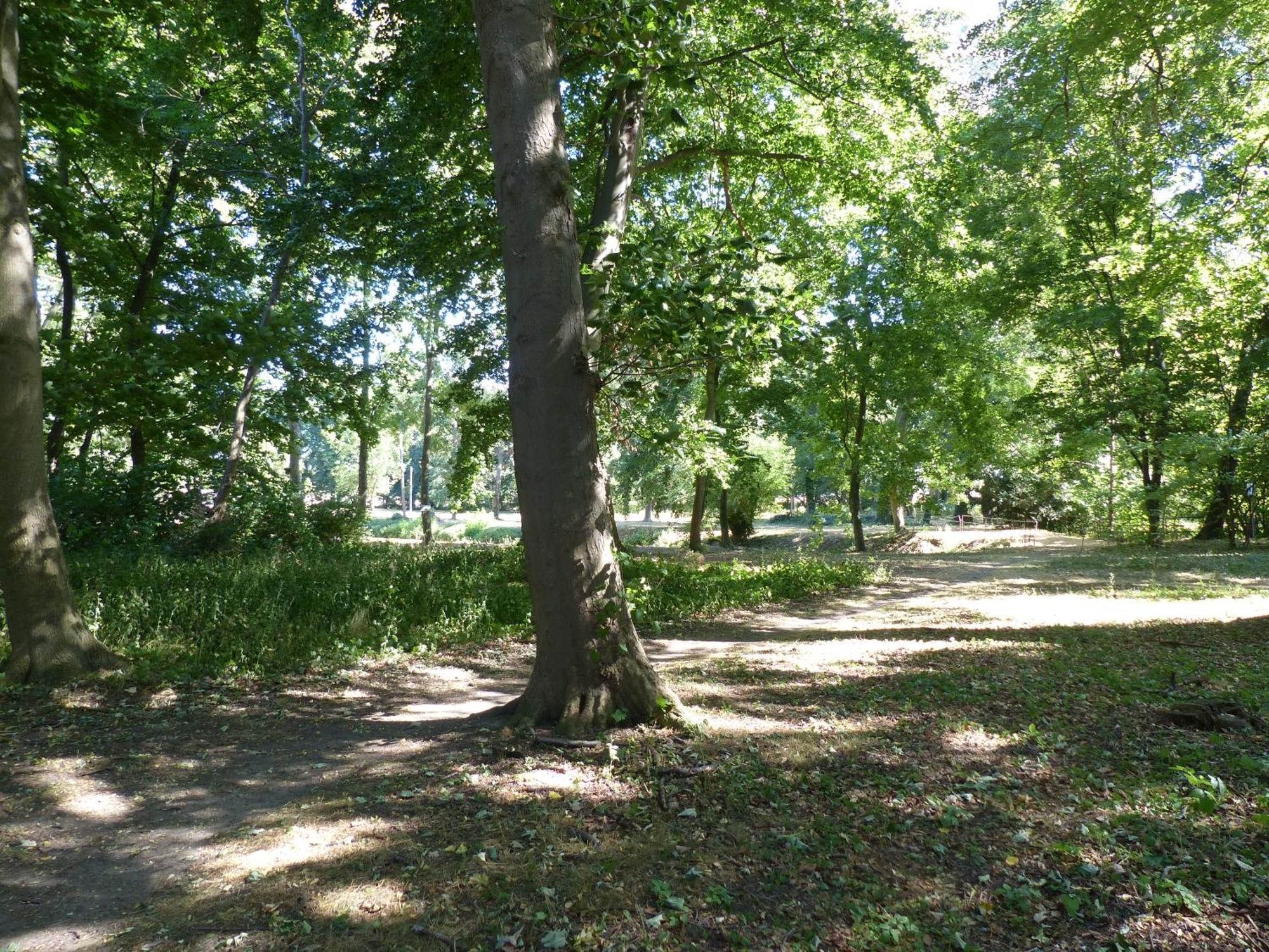 Ferienwohnung Mit Brockenblick Langenstein Kültér fotó